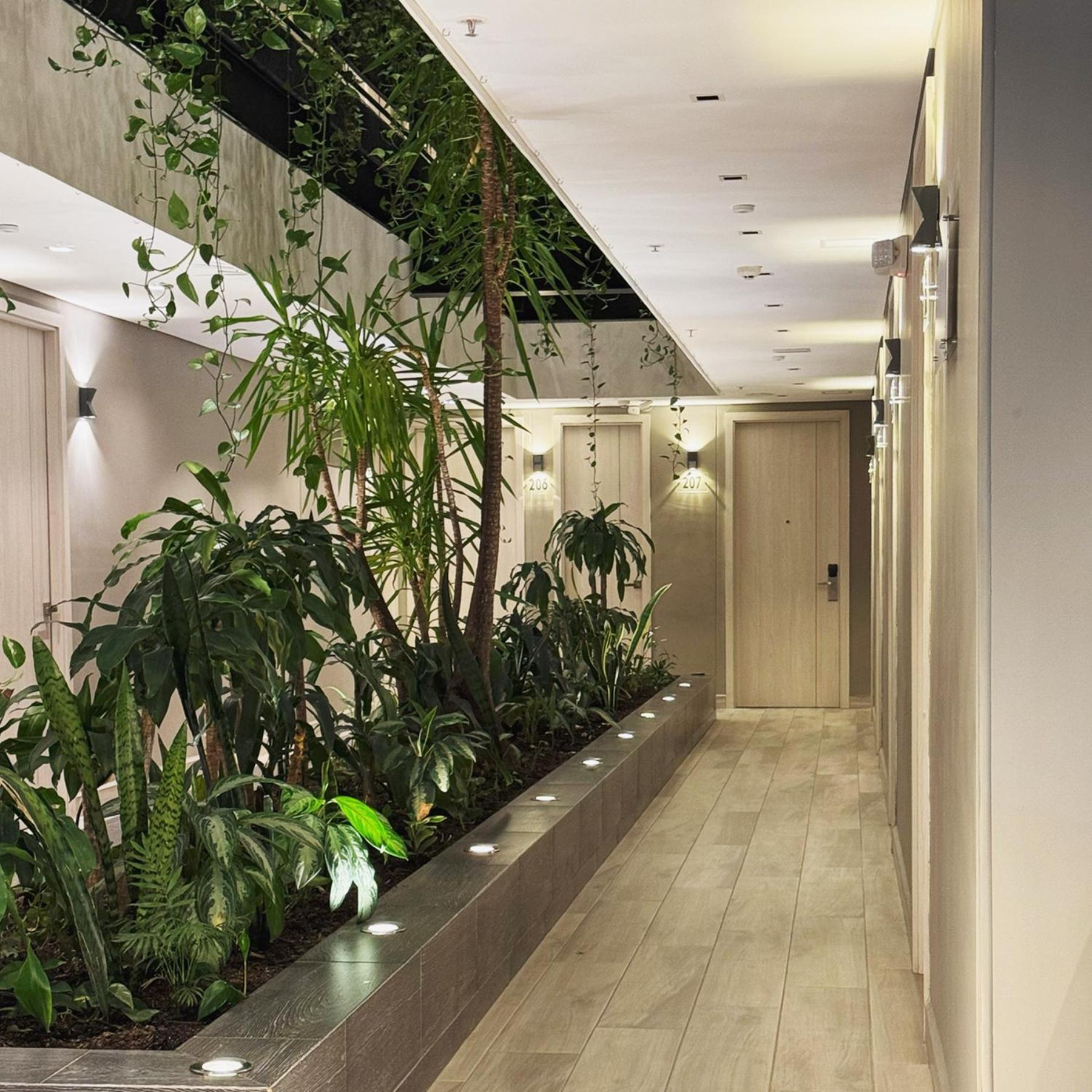 4 Sur Hotel Medellin Ngoại thất bức ảnh